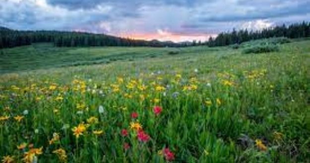 ZONE NATURELLE