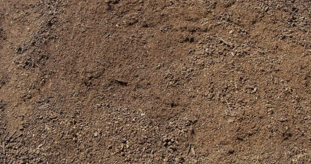 TERRAIN SANS CONTRAINTE titre